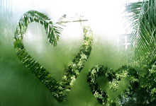 雷火电竞-当德甲霸主遇上紫金王朝：曼城“登顶湖人”背后的体育资本迷局