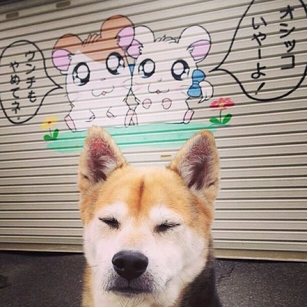 雷火电竞网站-星空之战，辽宁队跨越维度的压哨奇迹