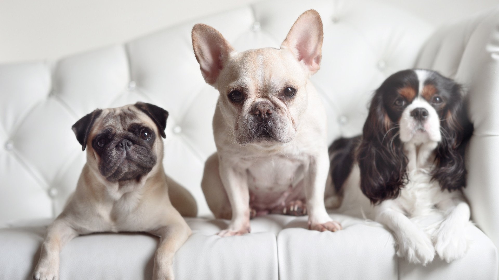 雷火电竞亚洲先驱-南美风暴摧毁阿尔卑斯防线，马丁内利西决生死战独舞，智利正面击溃瑞士