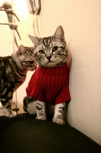 铁闸觉醒!德里赫特头槌定江山,荷兰战车碾过亚特兰大驶向王座