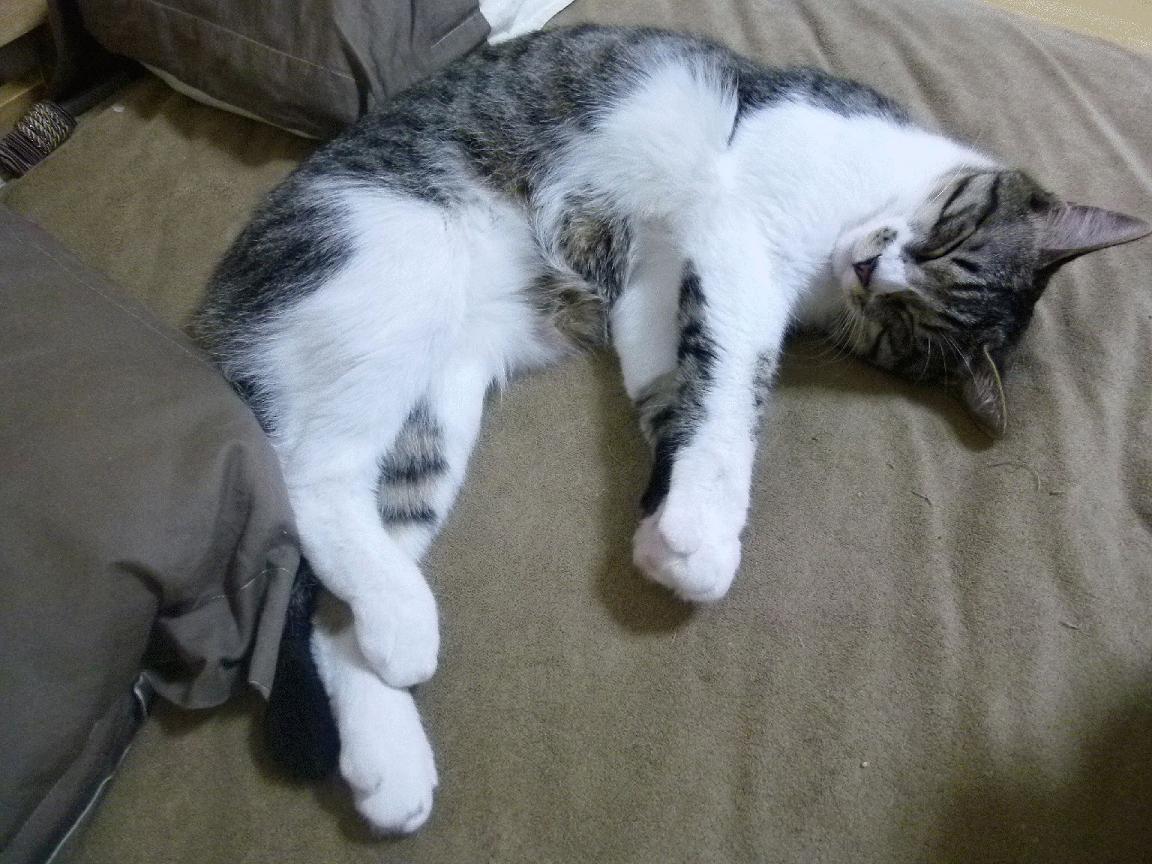 雷火电竞网址-扩展