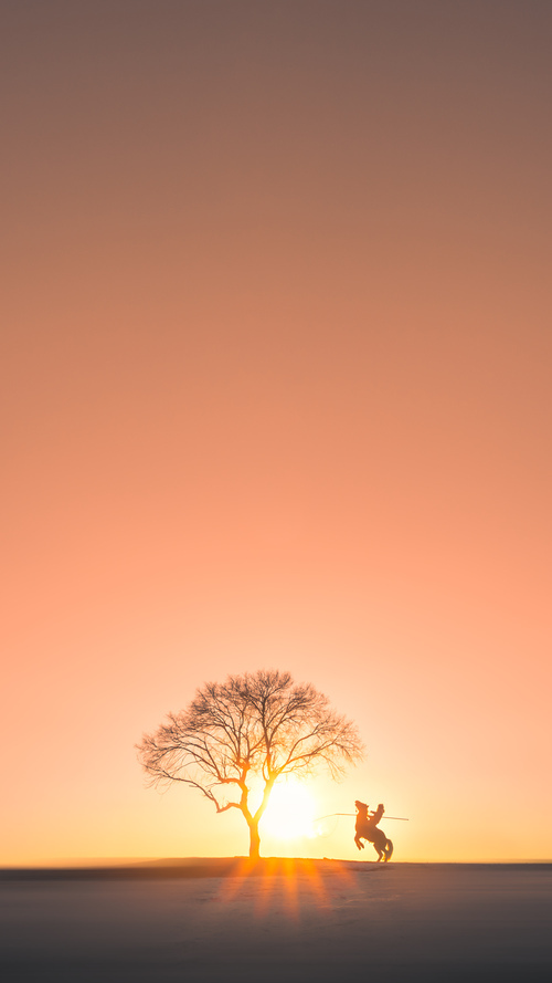 唯一之战，当德甲争冠焦点遇上那不勒斯碾压冰岛的足球传奇