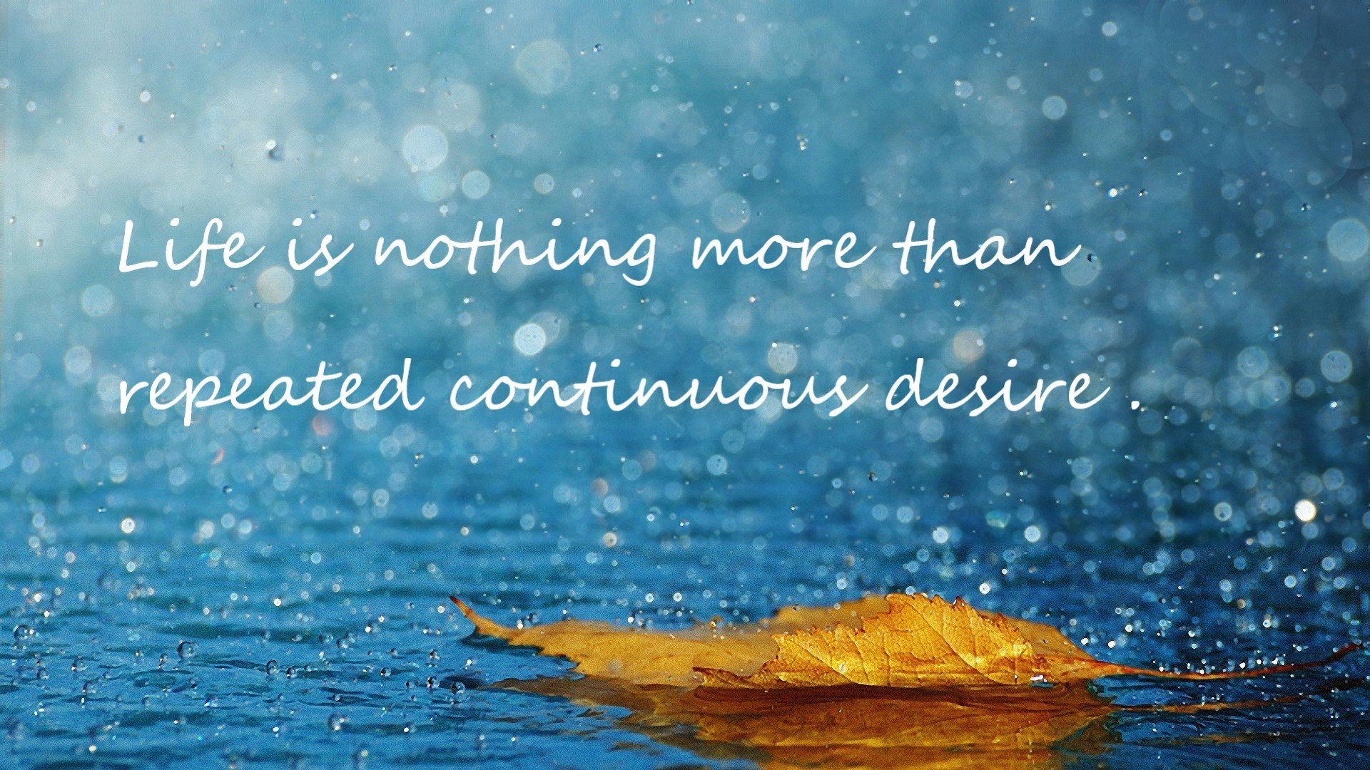 戈贝尔铸就防守长城，步行者篮球洪流冲垮吉林防线