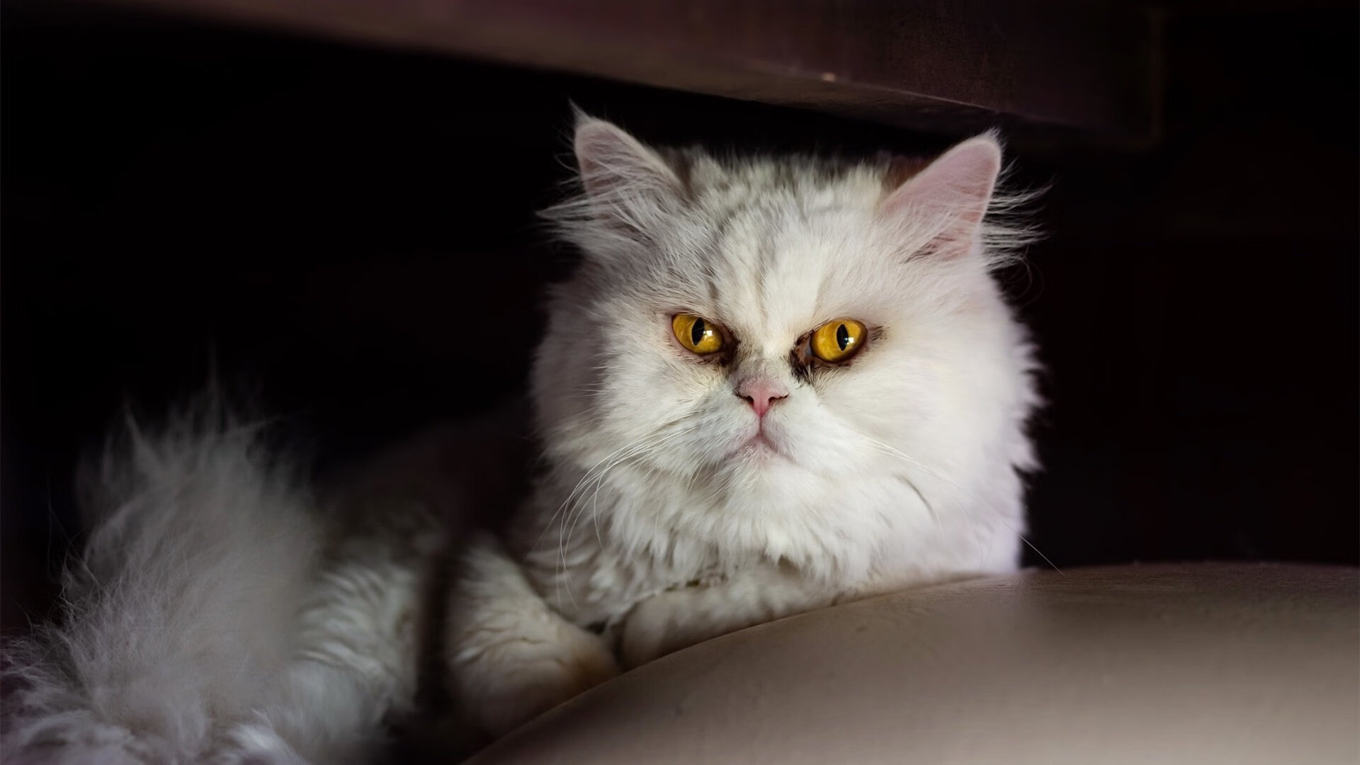 雷火电竞入驻-虚拟圣殿，美加墨世界杯赛场上演毕尔巴鄂稳胜AC米兰的世纪对话