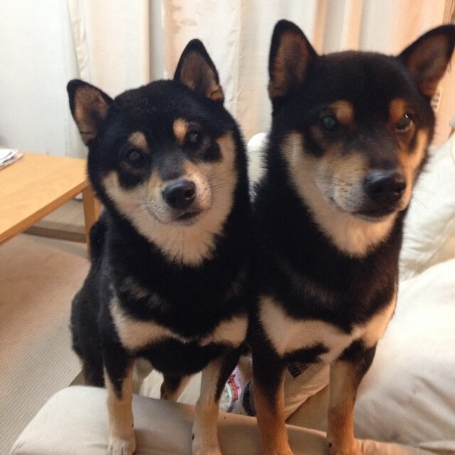 雷火电竞亚洲先驱-双重奏，那不勒斯粉碎勒沃库森神话，莫德里奇戴上关键先生袖标