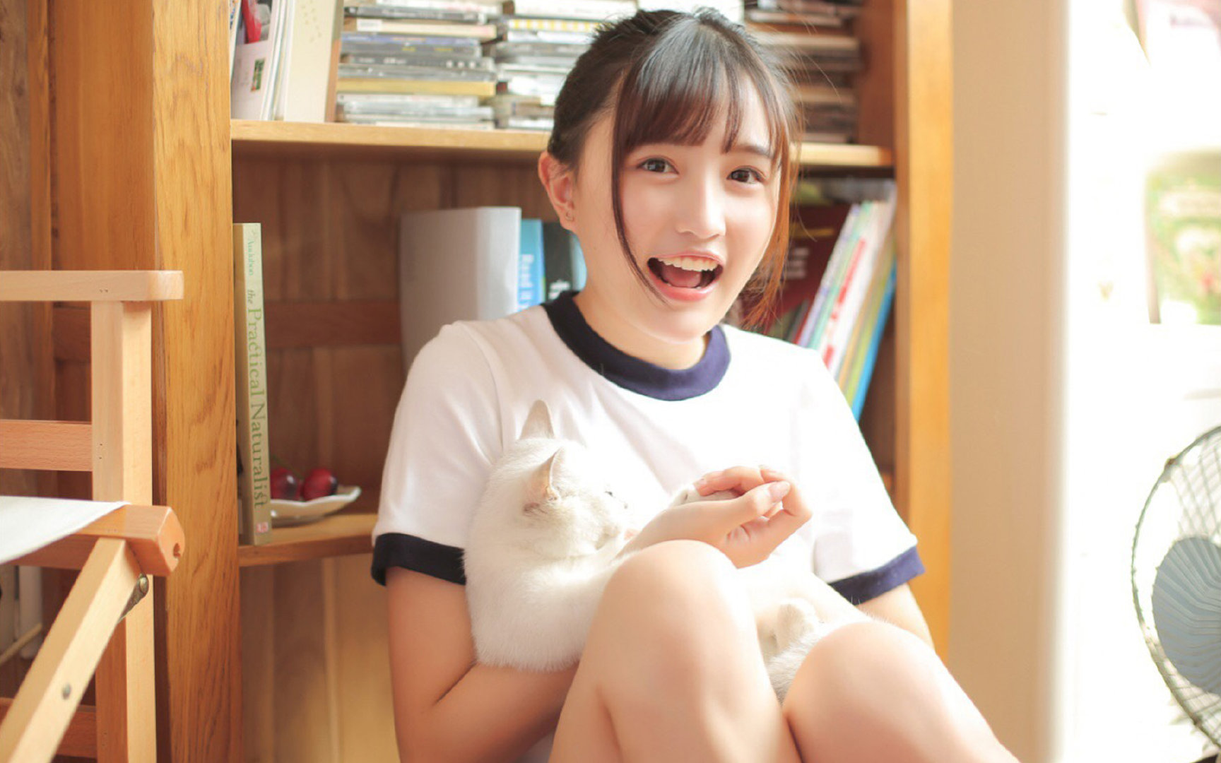 碎叶草足球场，托尼·古德温，在遗忘与铭记的交界处