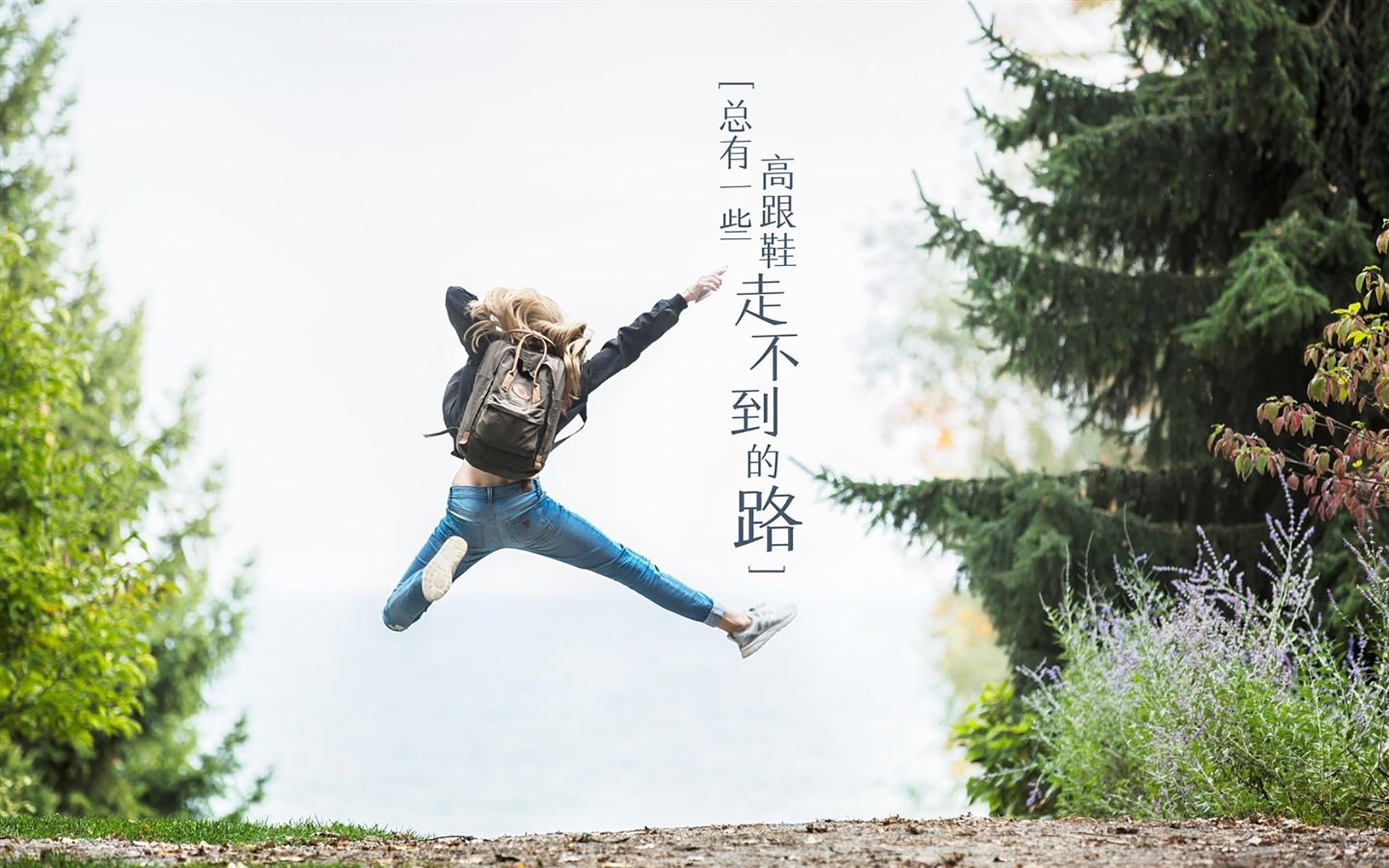 迷雾中的扳机，阿布扎比之夜，法比尼奥如何以非法之名，为F1争冠烙下永恒印记