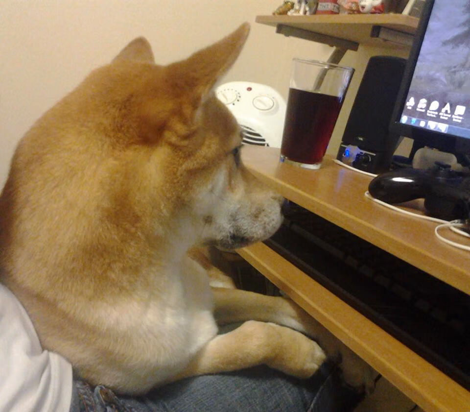 以下是为你构思的文章标题及内容