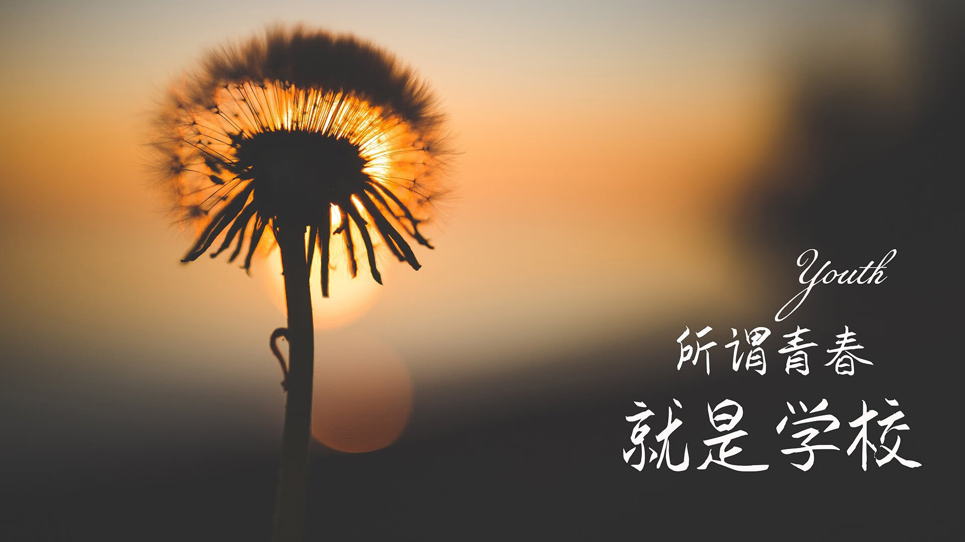 冰与火之歌，2026世界杯D组冰岛险胜哥斯达黎加，孙兴慜独舞照亮极北之夜